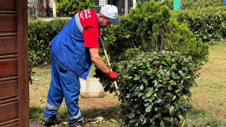 Kağıthane Belediyesi yeşil alanlara gözü gibi bakıyor