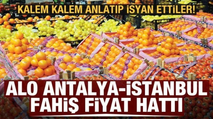 Kalem kalem anlatıp isyan ettiler: Alo Antalya-İstanbul fahiş fiyat hattı...