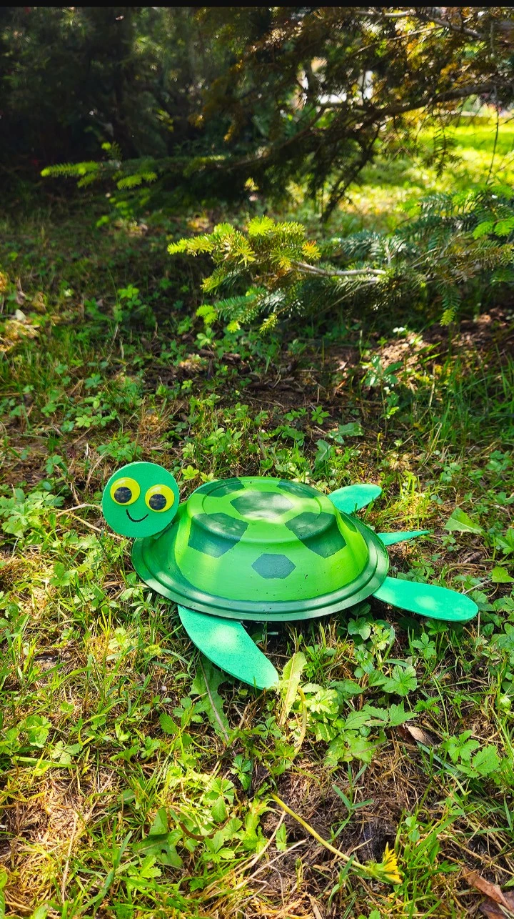 Kaplumbağa Günü'nde FYZoo'da Eğlenceli Bir Atölye Çalışmasına Hazır mısınız?