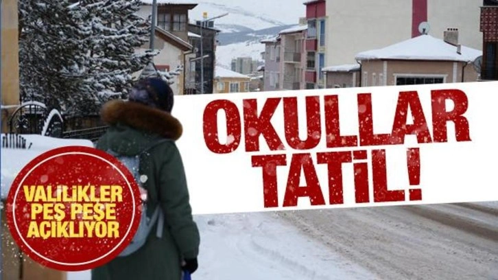 Kar bastırdı! Birçok ilde okullar tatil edildi! Valiliklerden açıklama