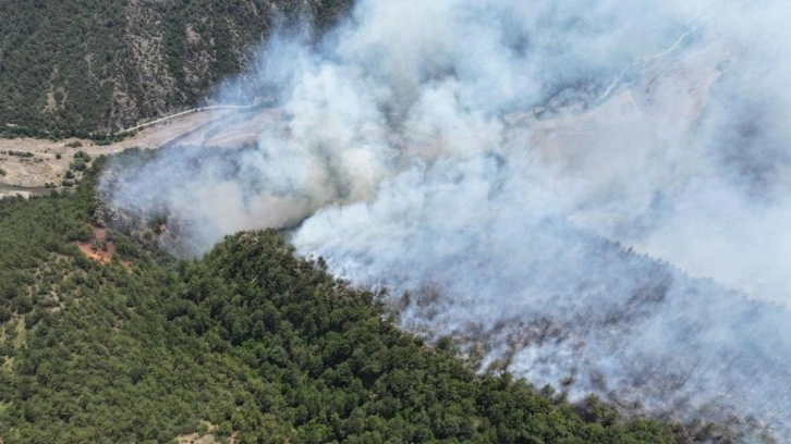 Karabük'te ormana yıldırım düştü, yangın çıktı