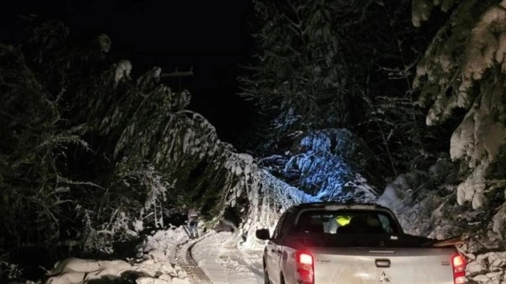 Karabük'te fırtına! Direkler devrildi, 18 köye elektrik verilemiyor