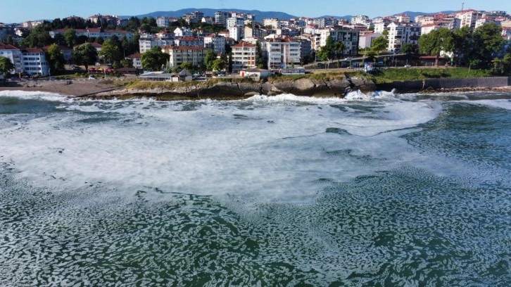 Karadeniz’de müsilaj iddiası! Düzce Valiliği'nden açıklama