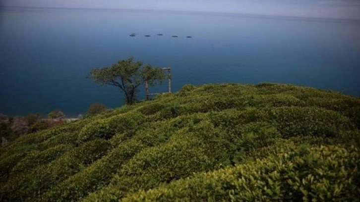 Karadeniz’de ‘buharlaşma’da artış tehlikesi