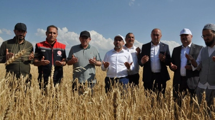 Kars'ta yüzde 50 hibeyle dağıtılan tohumlar tarlalara ekildi