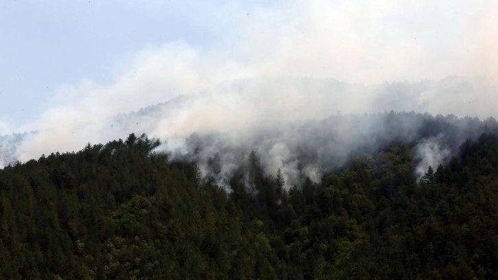 Kastamonu'da orman yangını: Müdahale devam ediyor!