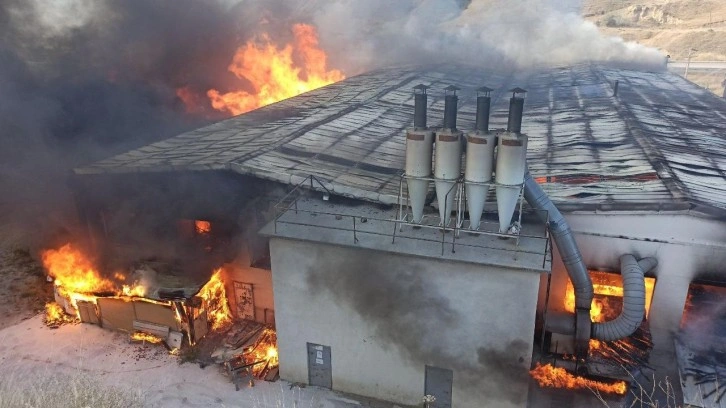 Kastamonu'da fabrika alevlere teslim oldu