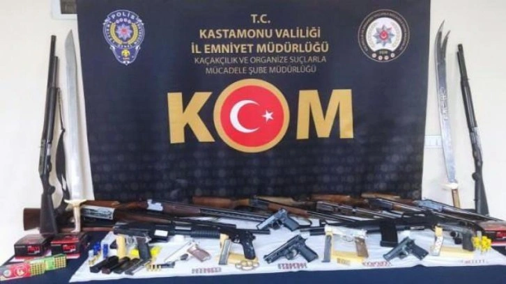 Kastamonu'da 'kaçak silah' operasyonu: 20 gözaltı