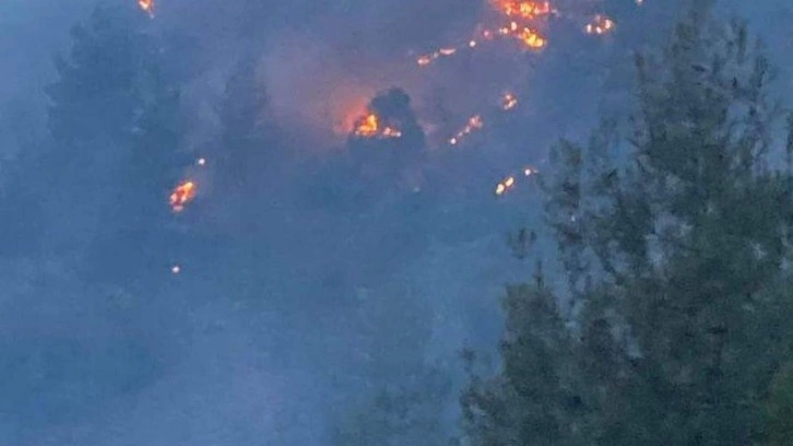 Kayseri'nin Yahyalı ilçesindeki orman yangını kontrol altına alındı