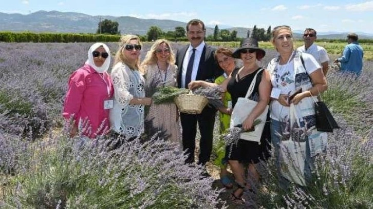 Kazdağları’nın eteklerinde aromaterapi festivali