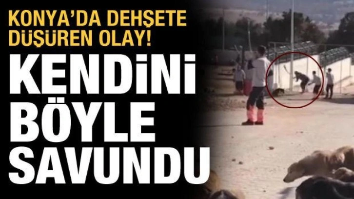 Konya'da köpeği öldüren zanlıların ifadeleri ortaya çıktı