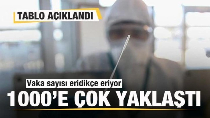 Koronavirüste son tablo açıklandı! Vaka sayısı eridikçe eriyor