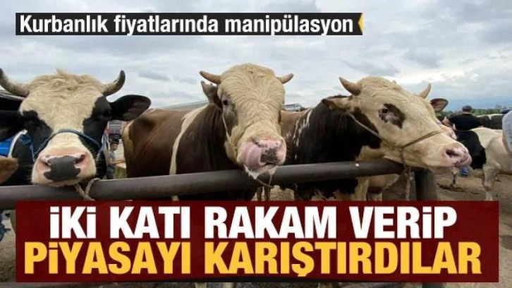 Kurbanlık fiyatlarında manipülasyon: Piyasanın iki katı rakam verdi