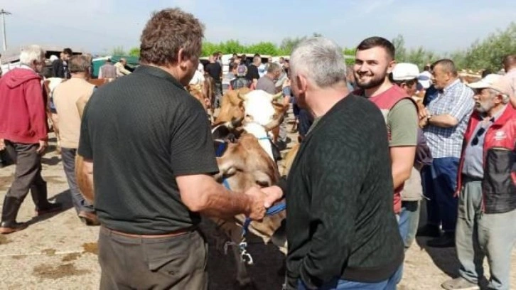 Kurbanlıklar pazara indi sıkı pazarlıklar başladı