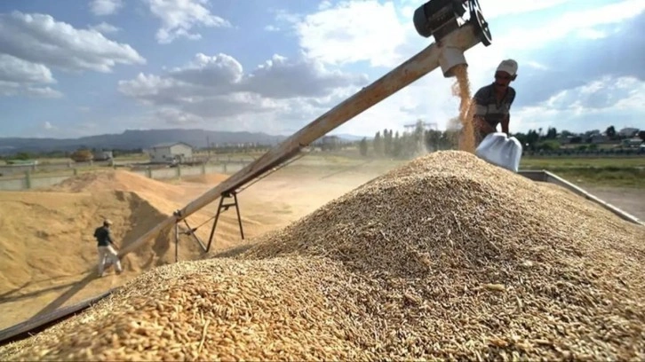 Küresel gıda fiyatları geriledi