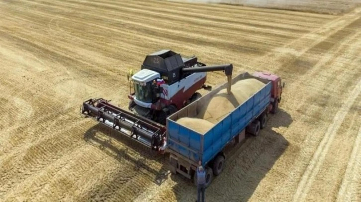 Küresel gıda fiyatları yüzde 15 düştü