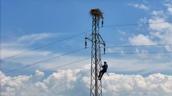 Kuşları korumak ve kesintisiz enerji için direklere izolasyon yapılıyor