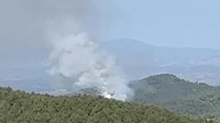 Kütahya'da orman yangını çıktı