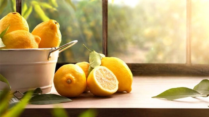 Limon nasıl saklanır? Limon suyu saklamanın püf noktaları…