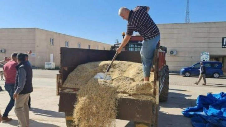 Mardin’de yılın ilk arpa hasadı başladı