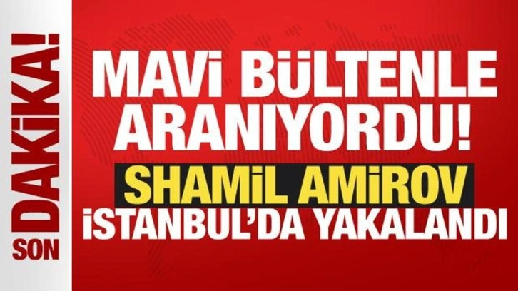 Mavi bültenle aranan organize suç örgütü yöneticisi İstanbul'da yakalandı