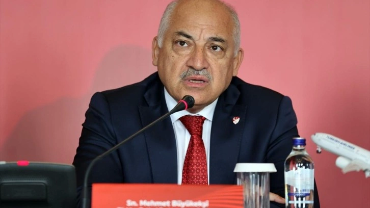 Mehmet Büyükekşi: 