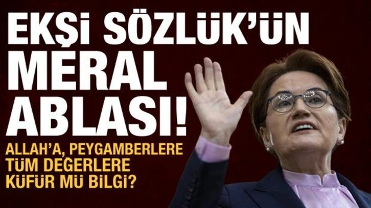 Meral Akşener, Ekşi Sözlük'e sahip çıktı