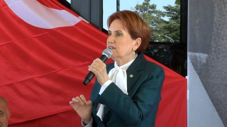 Meral Akşener'den Filistin açıklaması