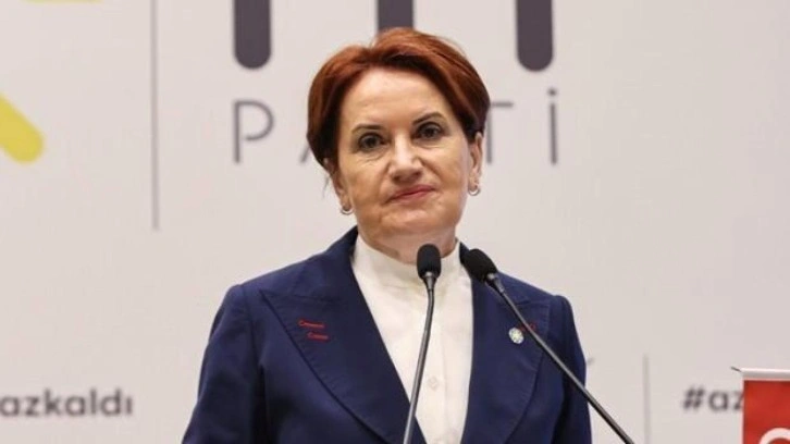 Meral Akşener'den 'siyasetçi' açıklaması