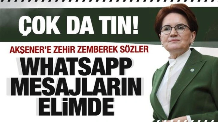 Meral Akşener'e zehir zemberek tepkiler: Çok da tın! Sen düşün...Mesajların elimde...