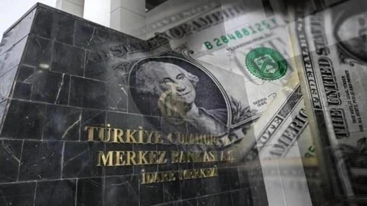 Merkez Bankası'nın rezervlerinde tarihi rekor