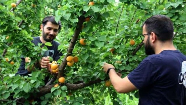 Mersin'de geliştirilen 