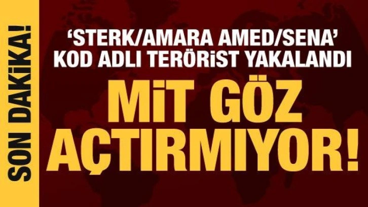 MİT, Sterk/Amara Amed/Sena kod adlı teröristi yakaladı