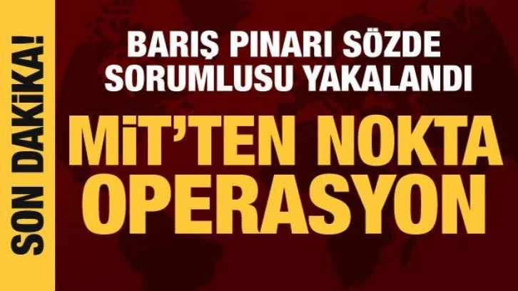 MİT'ten DEAŞ operasyonu: 5 terörist yakalandı