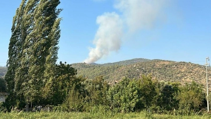 Muğla ve Bursa'da korkutan orman yangını