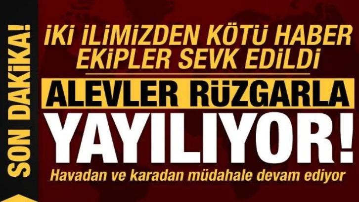 Muğla ve İzmir'de peş peşe yangınlar! Havadan ve karadan müdahaleler sürüyor