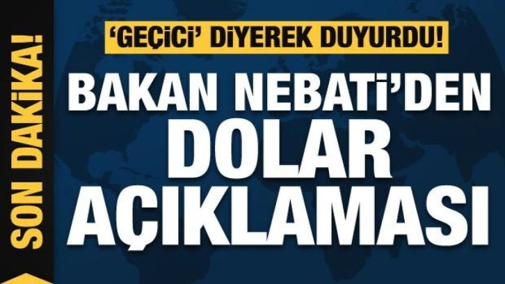 Nebati: Dövizle işiniz yok, TL ile iş yapın