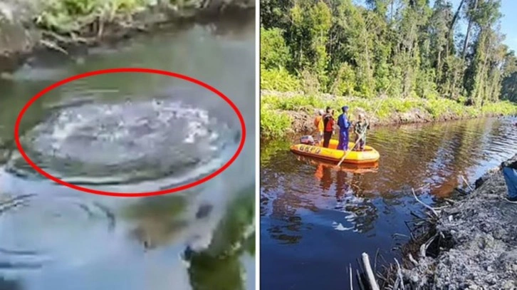 Nehirden bir anda fırladı, balıklar bile kaçacak yer aradı! Timsahın, adamı yediği korkunç anlar