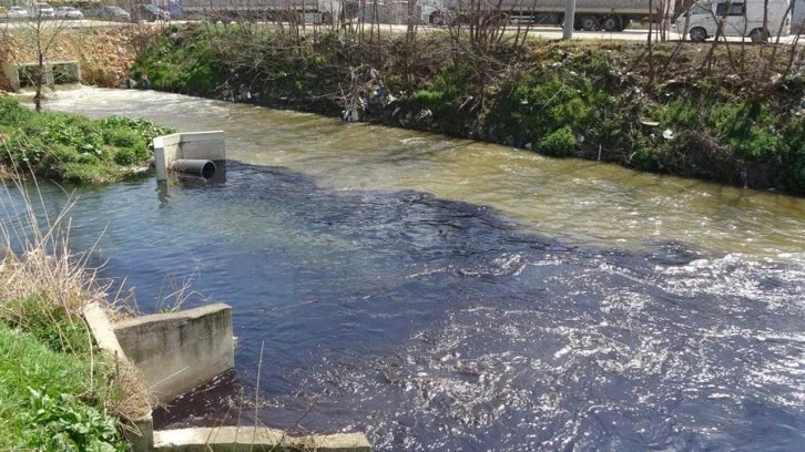 Ölüm saçan dereye 'tertemiz akıyor' raporu CİMER üzerinden yayınladılar