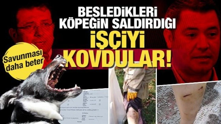 Ongun'un köpeğinin ısırdığı İBB personelini kovdular! 'Sanki ben köpeği ısırdım'