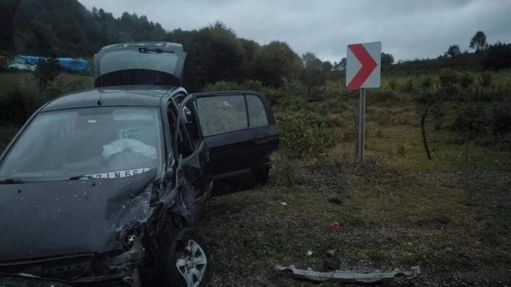 Ordu'da kaza: 2'si bebek, 5 yaralı