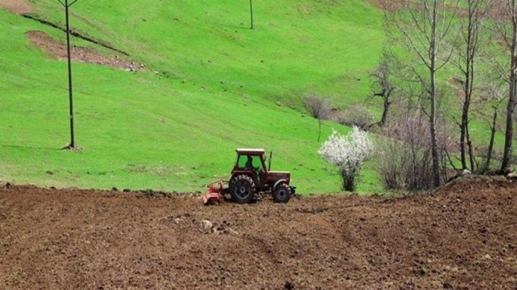 Ordu'da 3 yılda 17 bin 500 dönüm arazi tarıma kazandırıldı