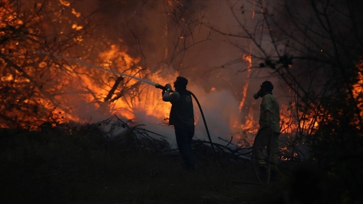 Orman yangınlarıyla mücadelede 