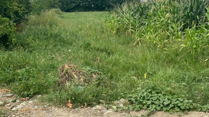 Osmaniye'de tarlada yeni doğmuş bebek bulundu