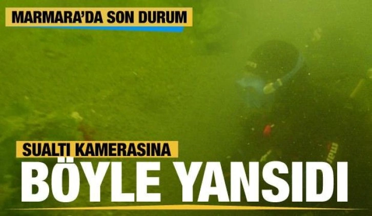 PEAK görüntüledi... Marmara Denizi'nde sualtı kamerasına böyle yansıdı