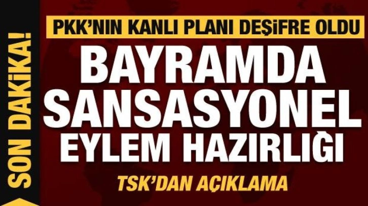 PKK'nın kanlı bayram planı deşifre oldu! Operasyon düzenlendi