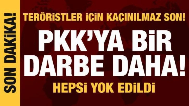 PKK'ya ağır darbe: 9 terörist etkisiz hale getirildi