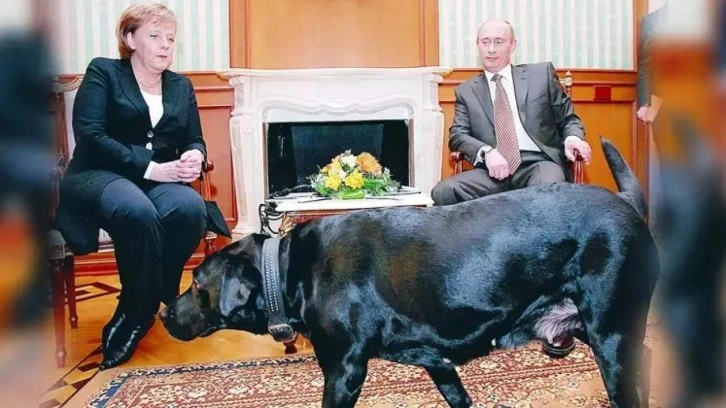 Putin, Merkel'den özür diledi: Köpeklerden korktuğunu bilmiyordum