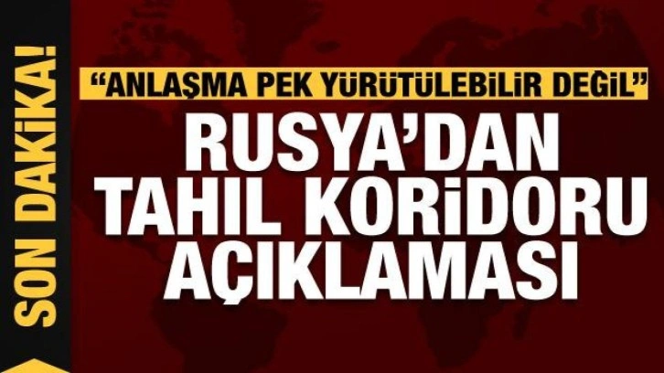 Rusya'dan son dakika tahıl açıklaması: Anlaşma pek yürütülebilir değil