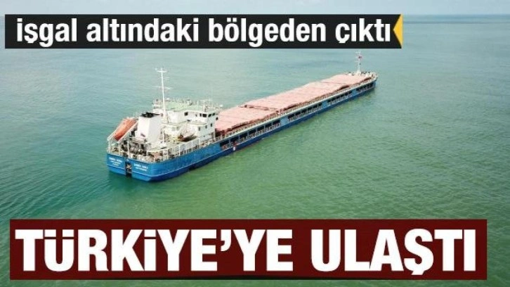 Rusya'nın tahıl yüklü gemisi, Karasu Limanı'nda